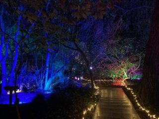 Come and tell us your dull and unexciting news 32: Calmly through the day