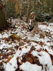 It’s snowing ❄️