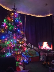 Show us your Christmas trees