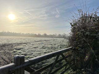 The Nigel Slater Christmas Chronicles Readalong 2024 Part 2