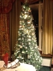 Show us your Christmas trees