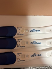 Nov 2024 TTC 💖 part 2 ✨