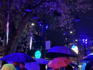 Come and tell me your dull and unexciting news 31: Calmly through the day