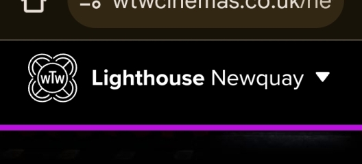 Have you taken your baby to the cinema (adult screening)?