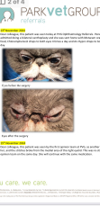 Magnificent Moustaches