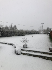 The Continuing Support Thread for Anyone Trying to Lead an Alcohol-Free Life Winter 2024