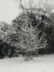 The Continuing Support Thread for Anyone Trying to Lead an Alcohol-Free Life Winter 2024