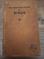 The Nigel Slater Christmas Chronicles Readalong 2024