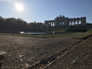 Vienna recommendations