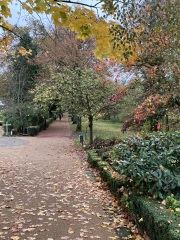 The Nigel Slater Christmas Chronicles Readalong 2024