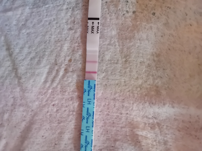 When do you think this opk will turn positive?