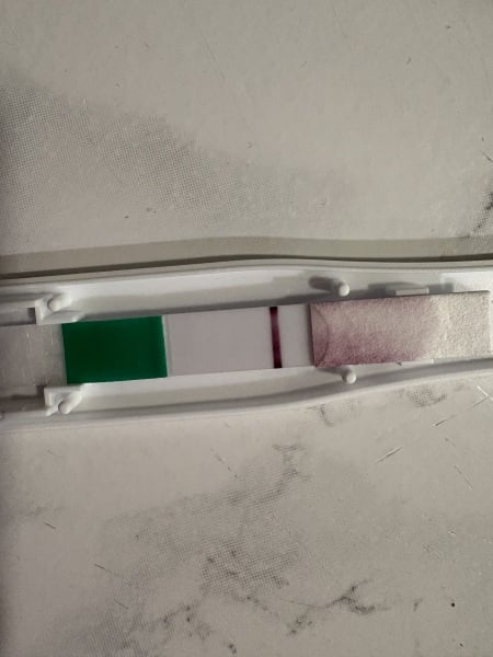 Early detective test help, positive or evap?