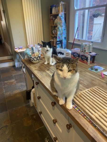 General “Waifs and Strays” Beauty Advent Calendar opening thread 2024