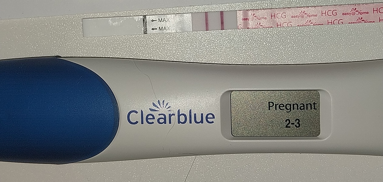 IVF/ICSI/FET December 2024