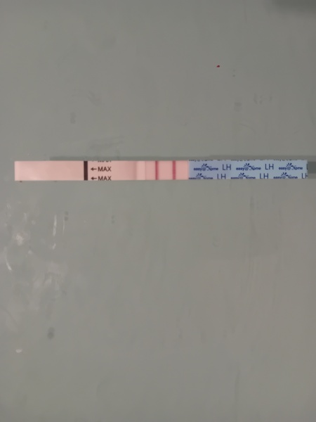 When do you think this opk will turn positive?