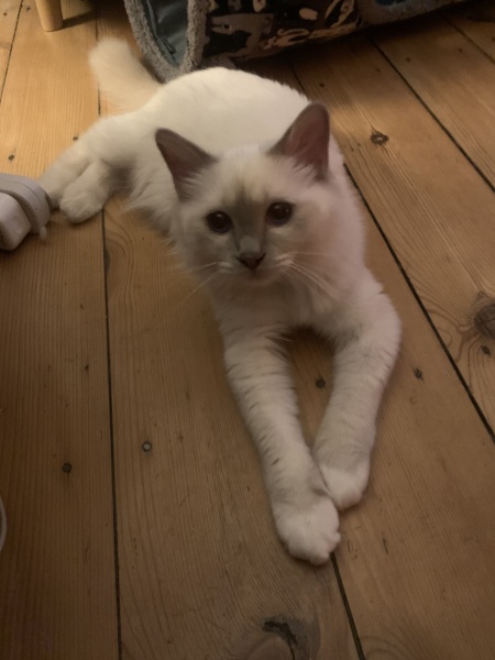 The Continuing Support Thread for Anyone Trying to Lead an Alcohol-Free Life Winter 2024