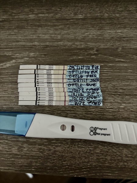 Can someone offer me any advice or support on my tests?