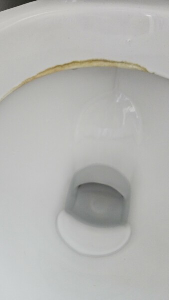 Toilet Stain