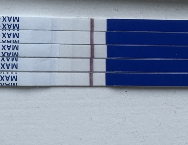 Please can someone help!