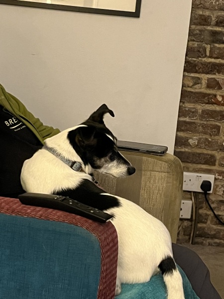 Thread 13 Starmer - facts are for lefties