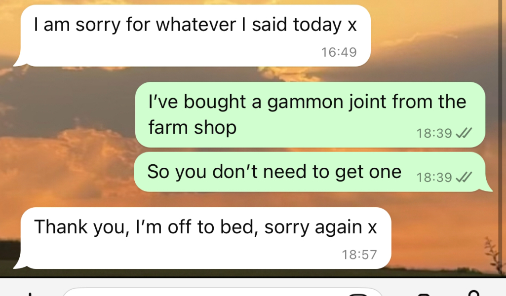 My mum hates that I'm pregnant and is making my life hell