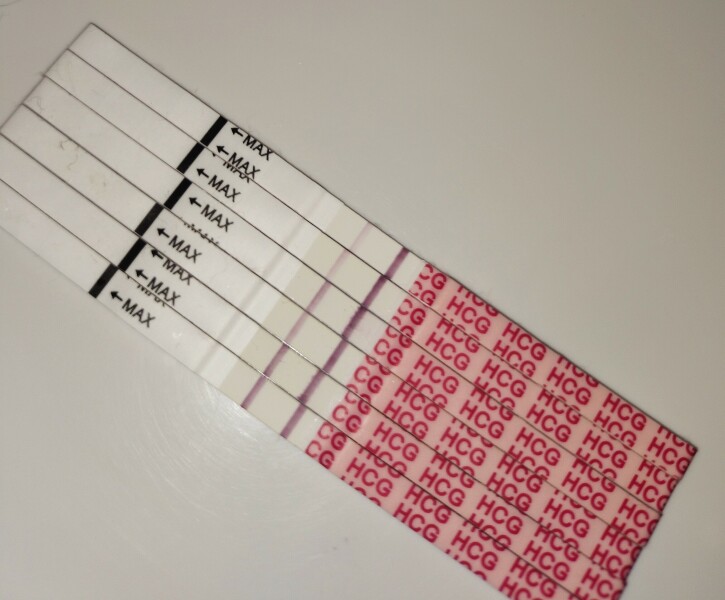 January TTC Support Group 💚