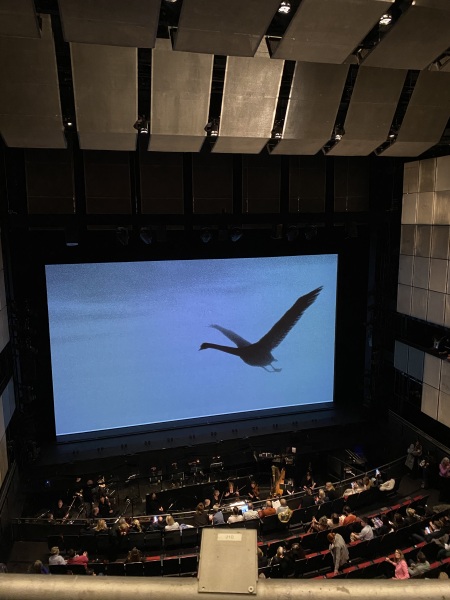 Poncetastic Christmas 2024