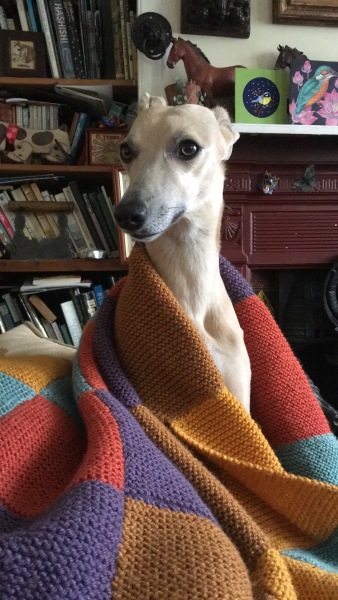 Puppy waking up at 5am