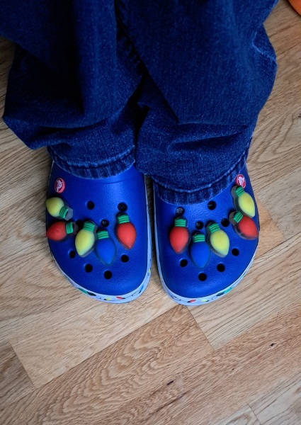 The Bluestocking - the one with the Christmas stocking