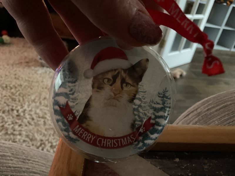 Would someone help me find another one of these baubles please?