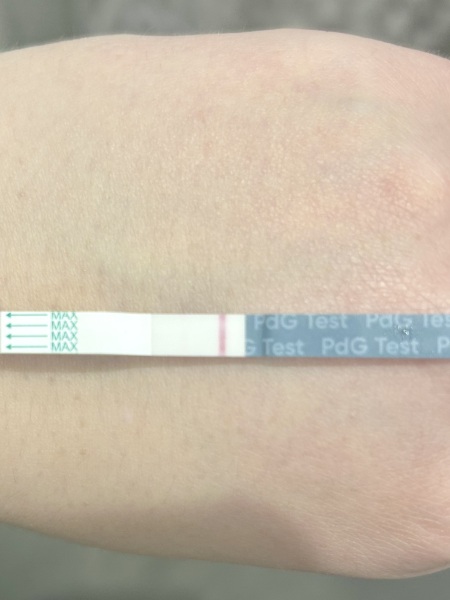 December TTC Support Group