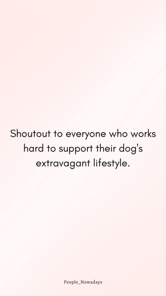 How much does your dog cost?