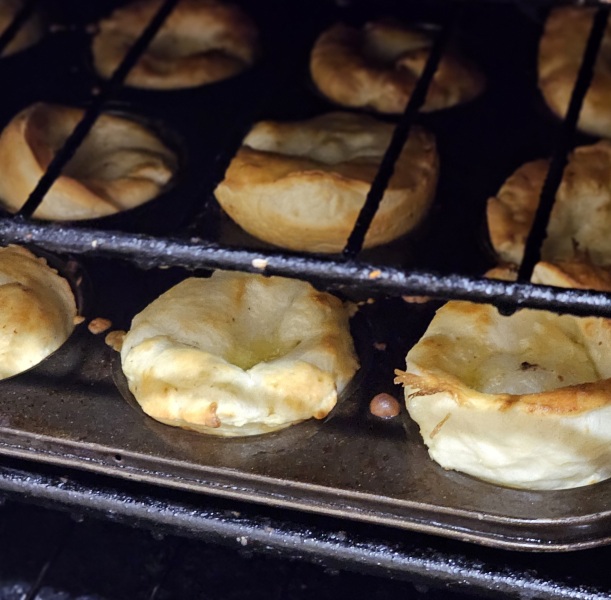 Tinsel, Glitter and Baubles - the Excellent Cats prepare to knock Everything off your Christmas Tree