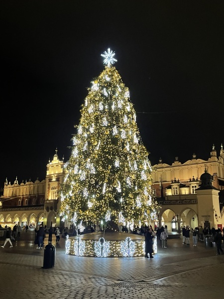 The Nigel Slater Christmas Chronicles Readalong 2024 Part 3