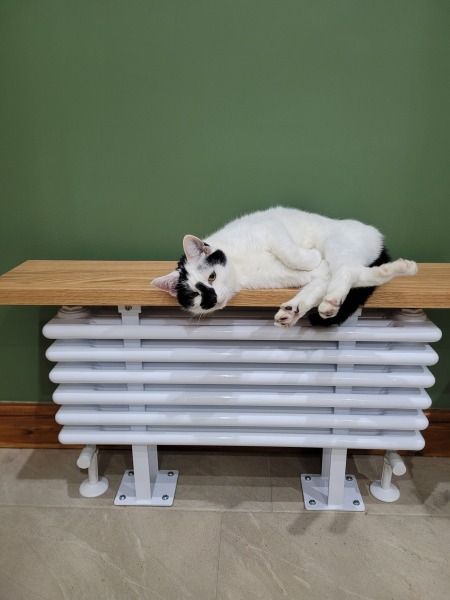 What colour would you paint this hallway?