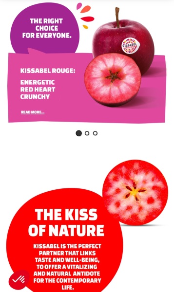 The Nigel Slater Christmas Chronicles Readalong 2024 Part 2