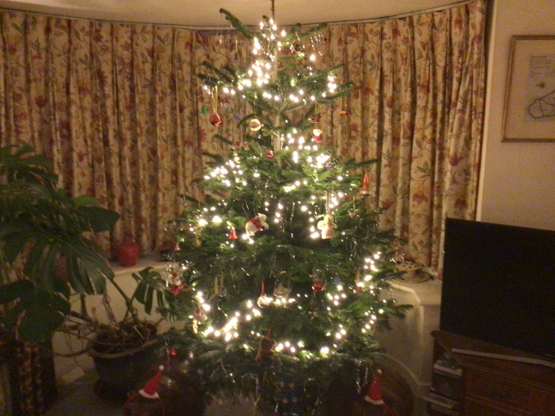 Show us your Christmas trees