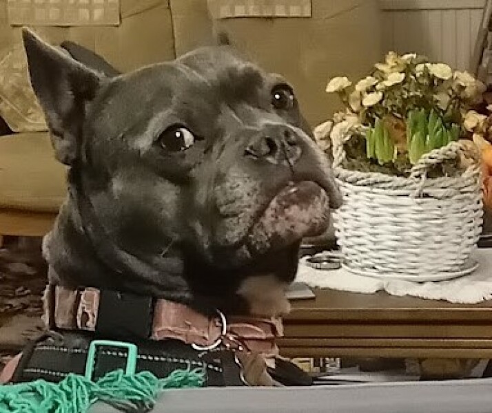 The Continuing Support Thread for Anyone Trying to Lead an Alcohol-Free Life Winter 2024