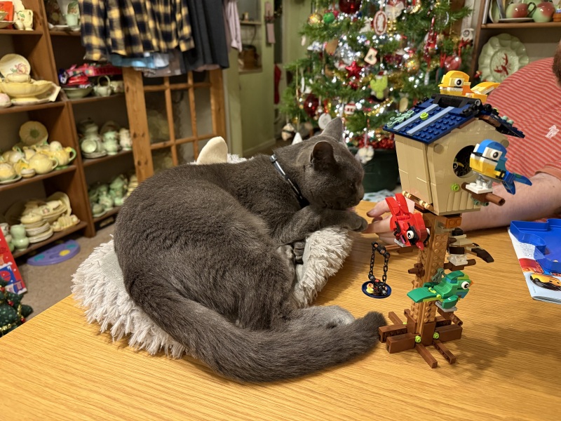 Tinsel, Glitter and Baubles - the Excellent Cats prepare to knock Everything off your Christmas Tree