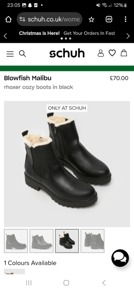 Can someone find me a replacement for these boots