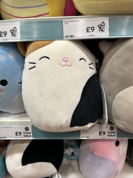 Squishmallow help!