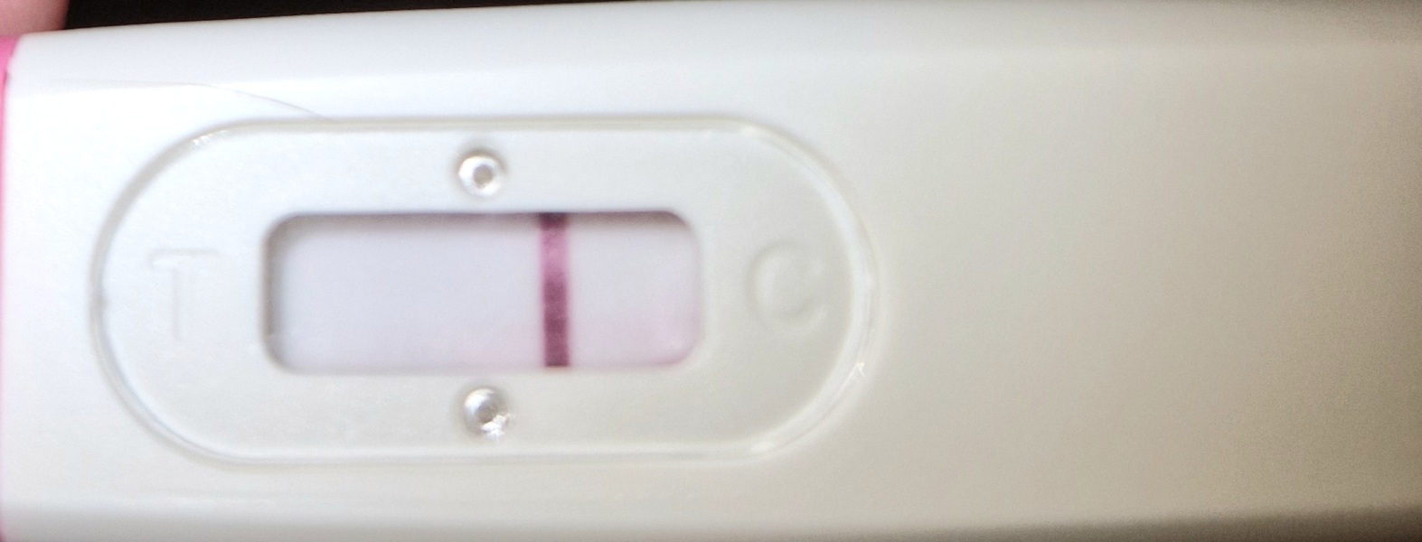 2DPO