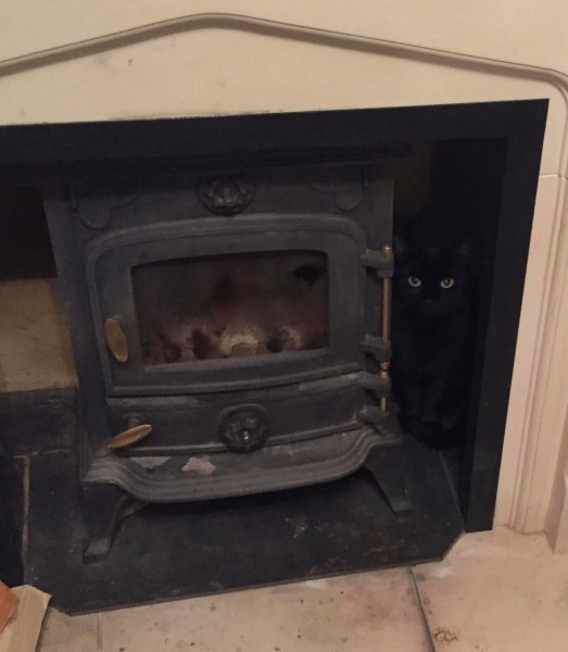 What perfectly ordinary places have you found your cat?