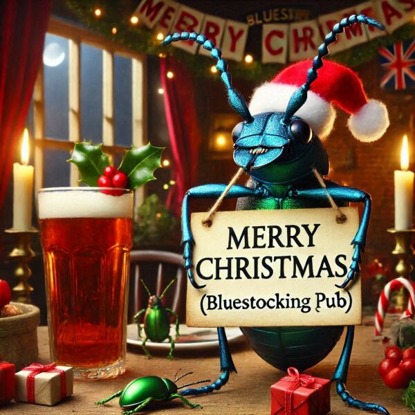 The Bluestocking - the one with the Christmas stocking