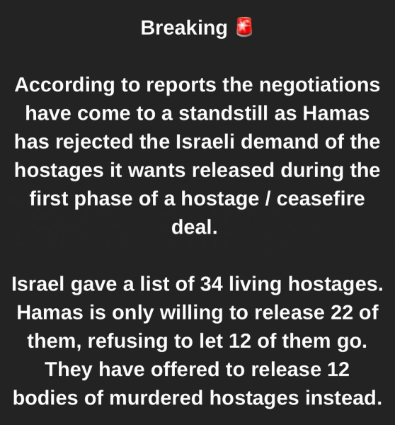 Israelis held hostage in Gaza - part 4