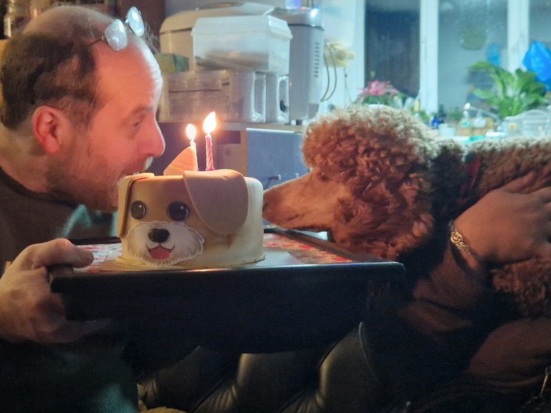 Christmas dog of the month: Share your festive dog photos & win a £100 prize bundle!