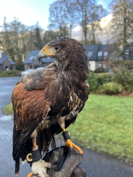 What we'll do differently for 2025 thread?