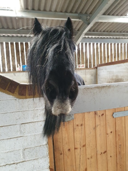 Thread 13 Starmer - facts are for lefties