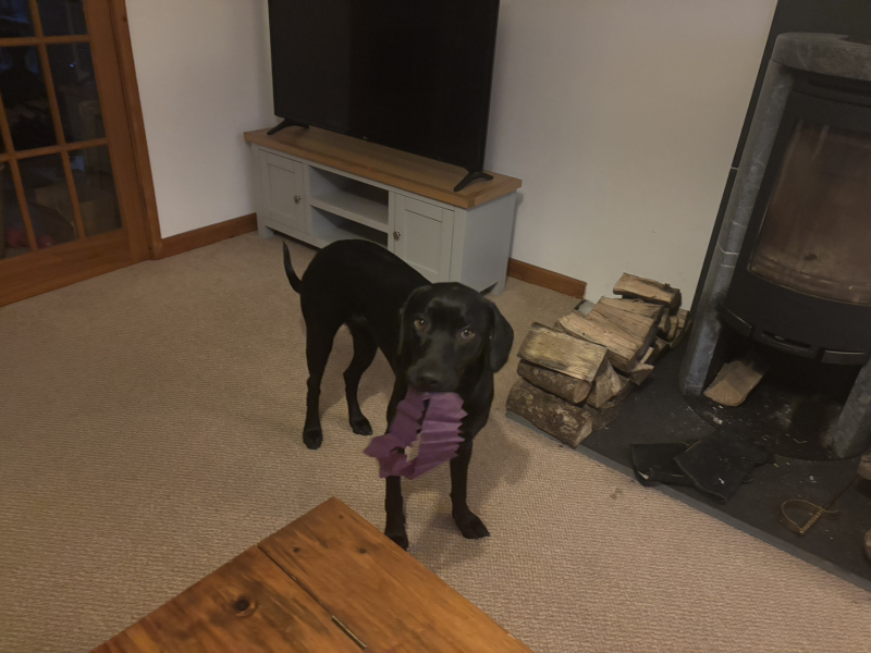 The Nigel Slater Christmas Chronicles Readalong 2024 Part 2