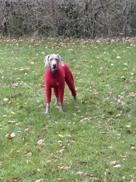 Surviving the mud!